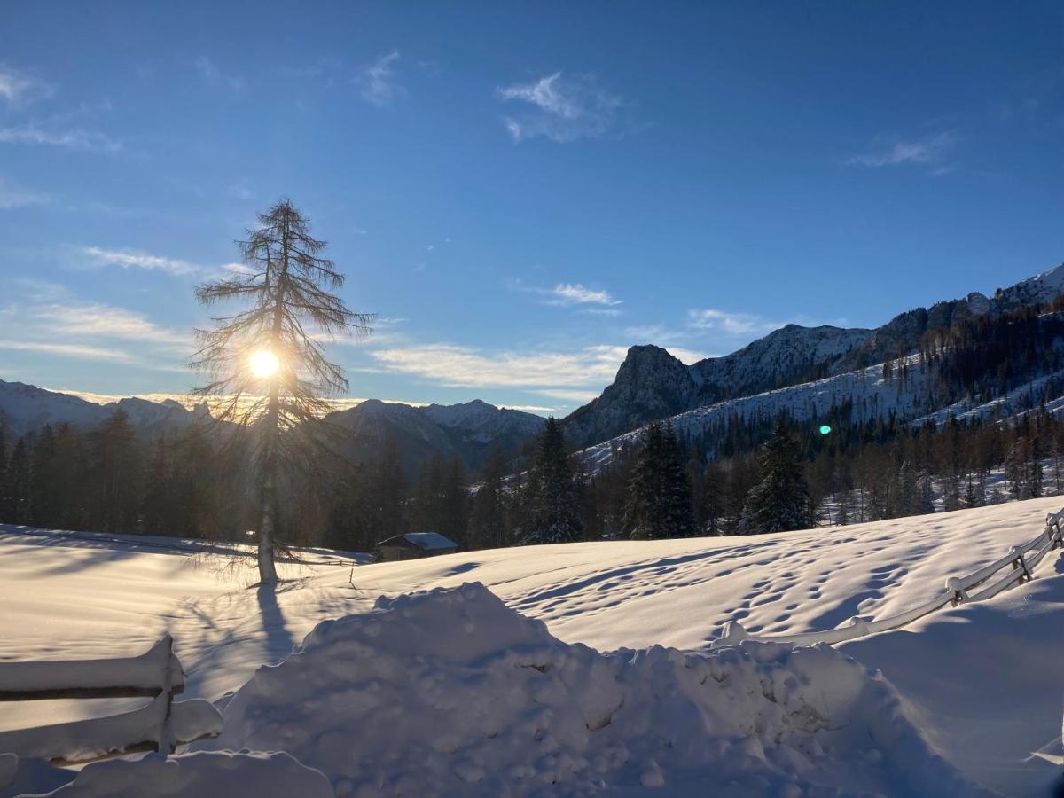 Renoviertes Apartment Mit Terrasse An Der Piste Mit Kostenlosen Wifi Carezza al Lago Esterno foto